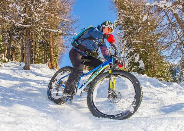 Fat Bike